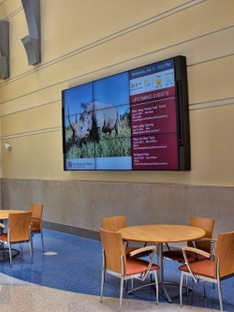 rhino, rhinoceros, digital signage, technology integration